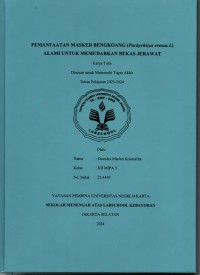 Pemanfaatan Masker Bengkoang (Pachyrhizus Erosus.L) Alami untuk Memudarkan Bekas Jerawat