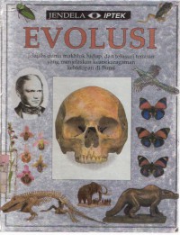 Evolusi
